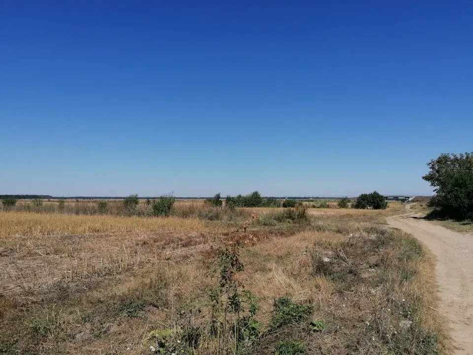 Teren Moara Vlasiei  11200 mp acces rapid la Nod Autostrada A3 img 2